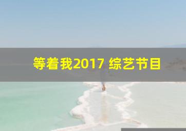 等着我2017 综艺节目